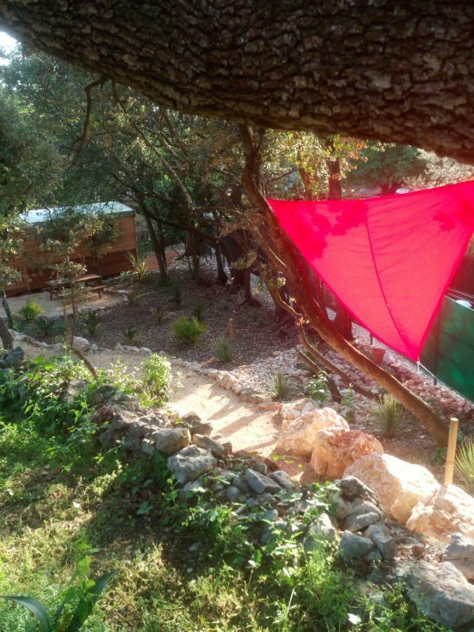 L'Atelier Acomodação com café da manhã Saint-Maximin  Exterior foto